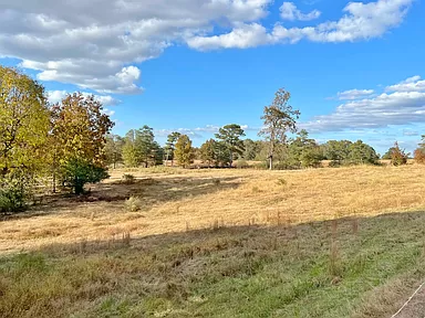 5 Bedroom - Large home for sale in Hollypond Alabama