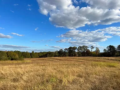 60 Acres lot / Land for sale in Hollypond Alabama